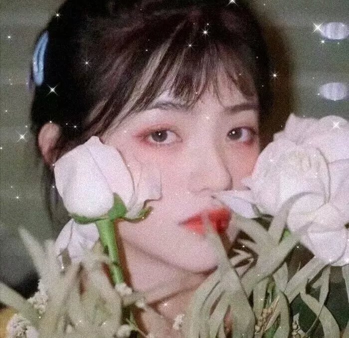 彩云妃子