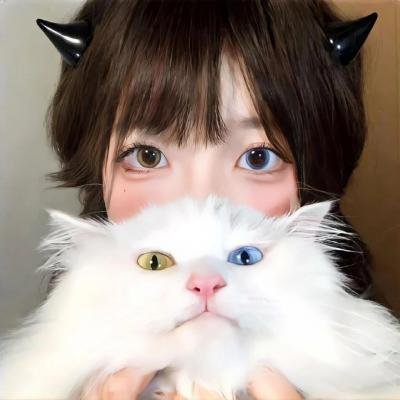 淑女宠爱